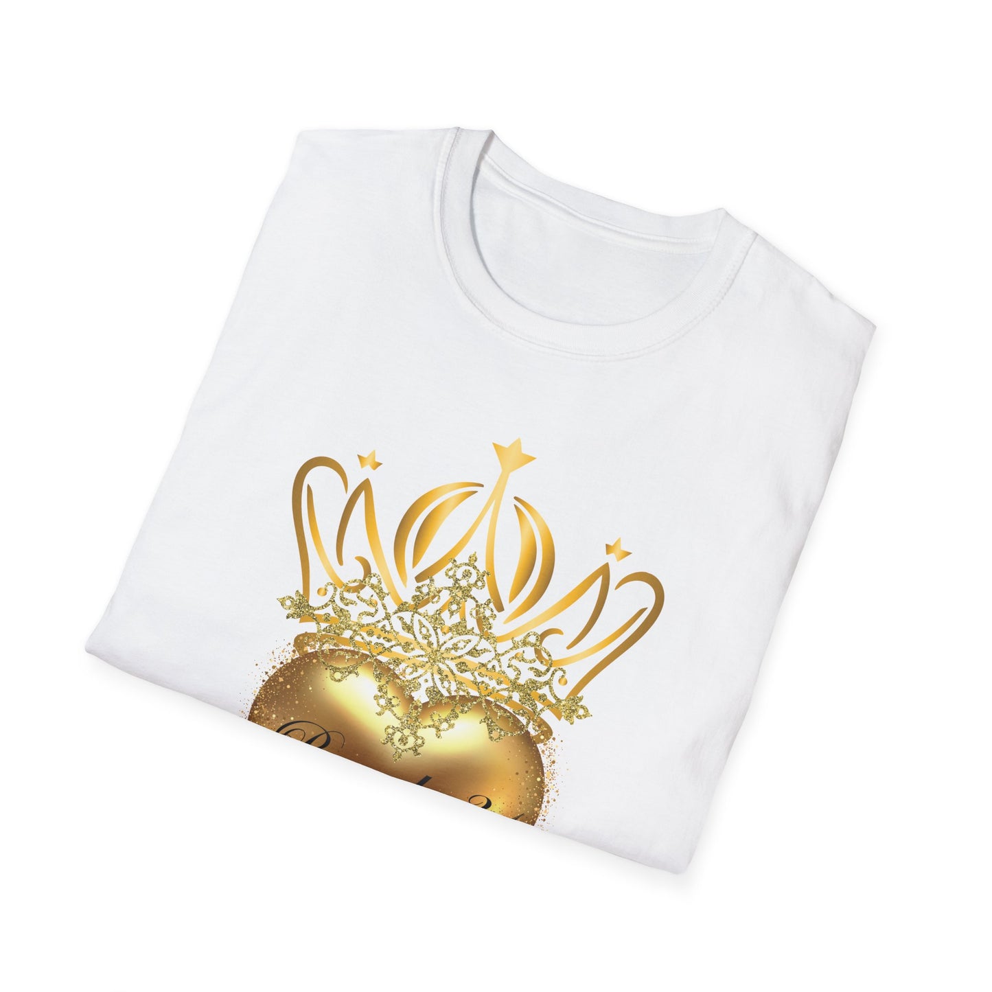 Proverbs 31 Women's T-Shirt