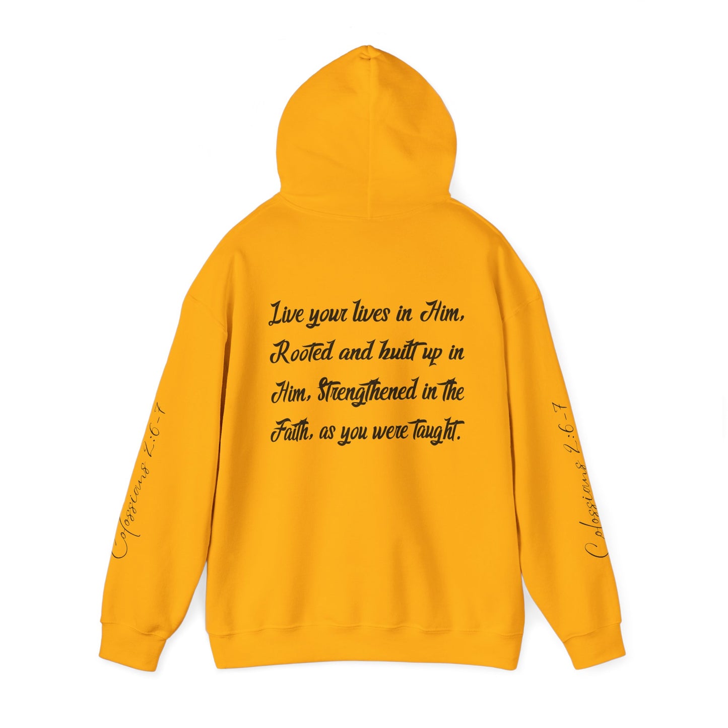 Rooted in Christ - Adult Unisex Hooded Sweatshirt