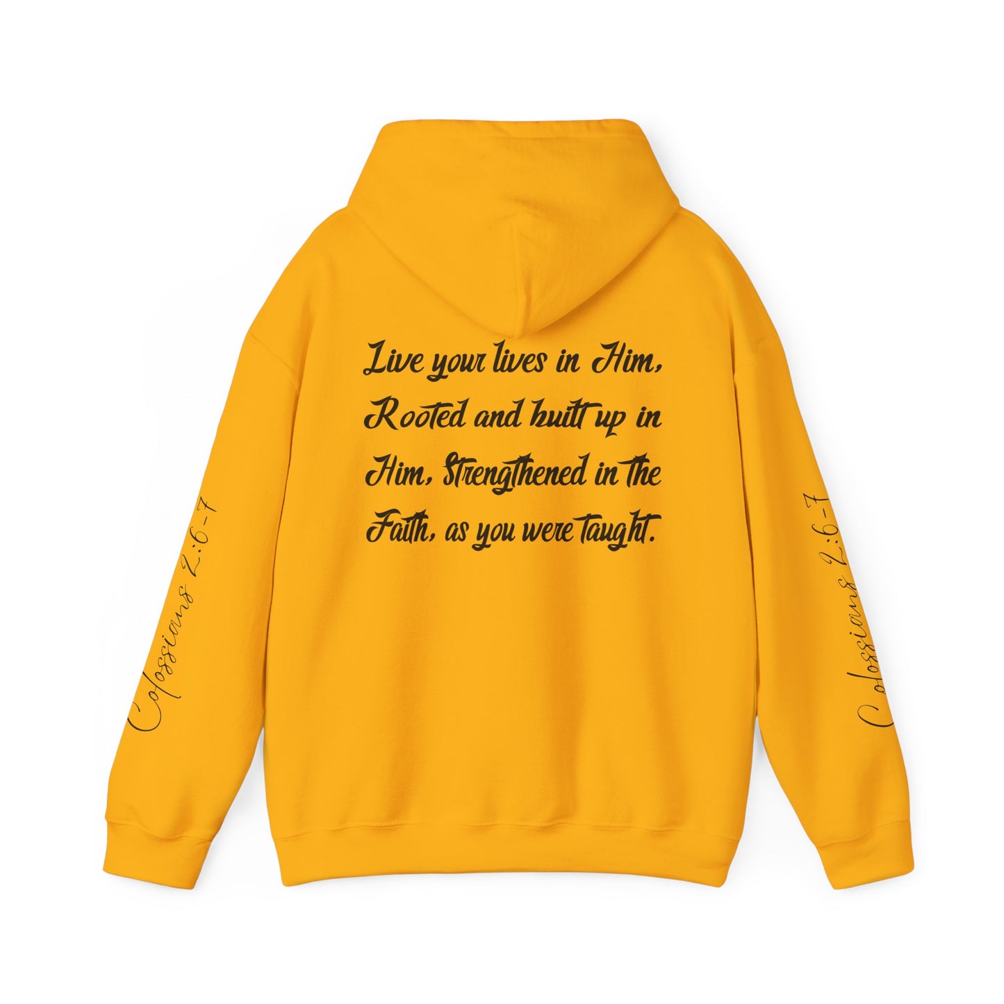 Rooted in Christ - Adult Unisex Hooded Sweatshirt
