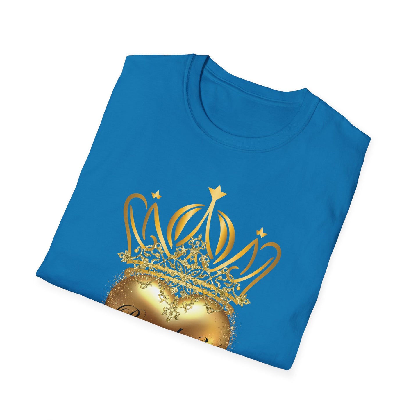 Proverbs 31 Women's T-Shirt