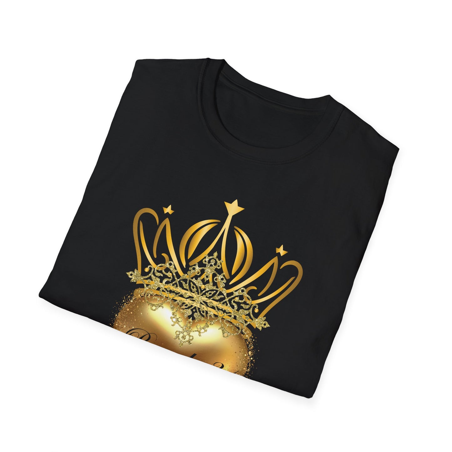 Proverbs 31 Women's T-Shirt