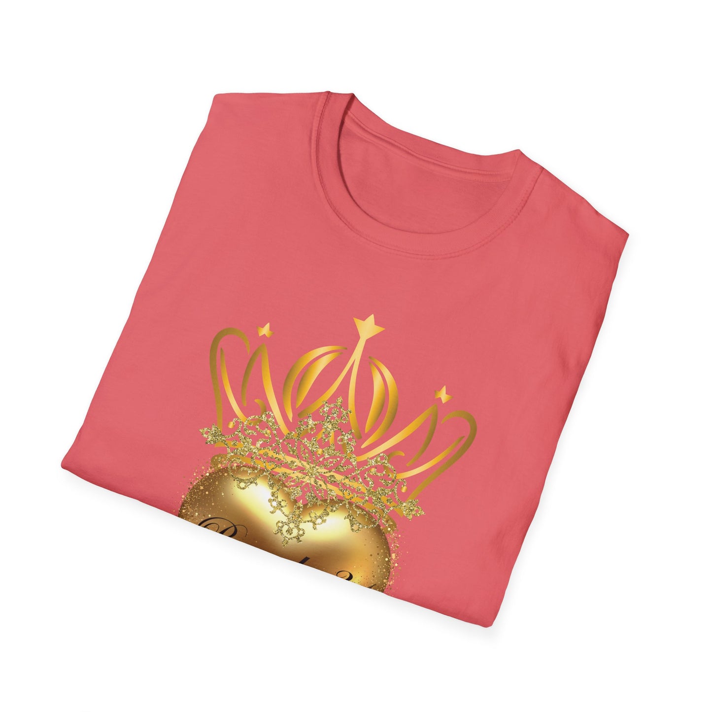 Proverbs 31 Women's T-Shirt