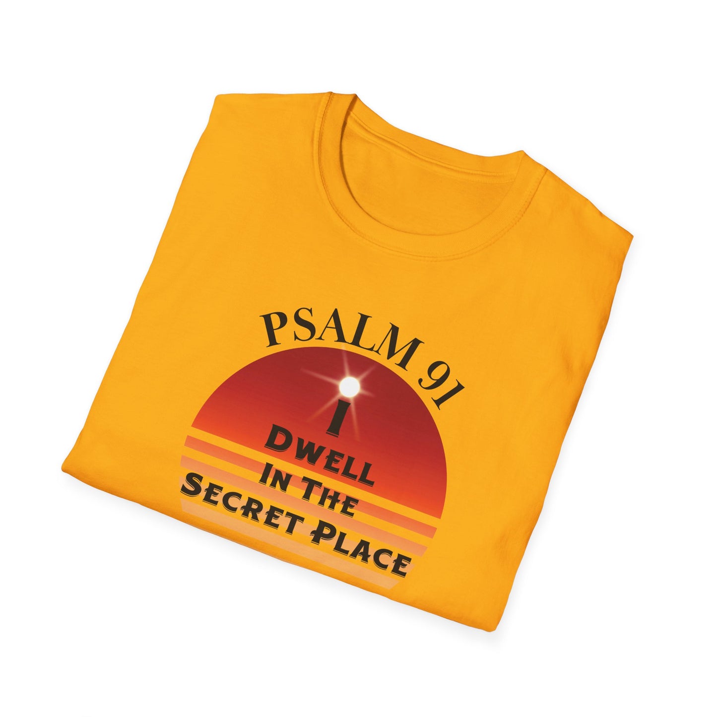 I Dwell in The Secret Place Adult Unisex T-Shirt