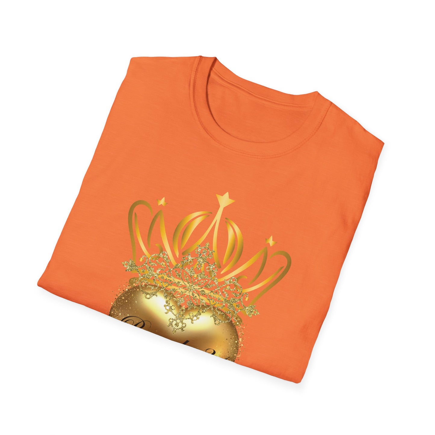Proverbs 31 Women's T-Shirt