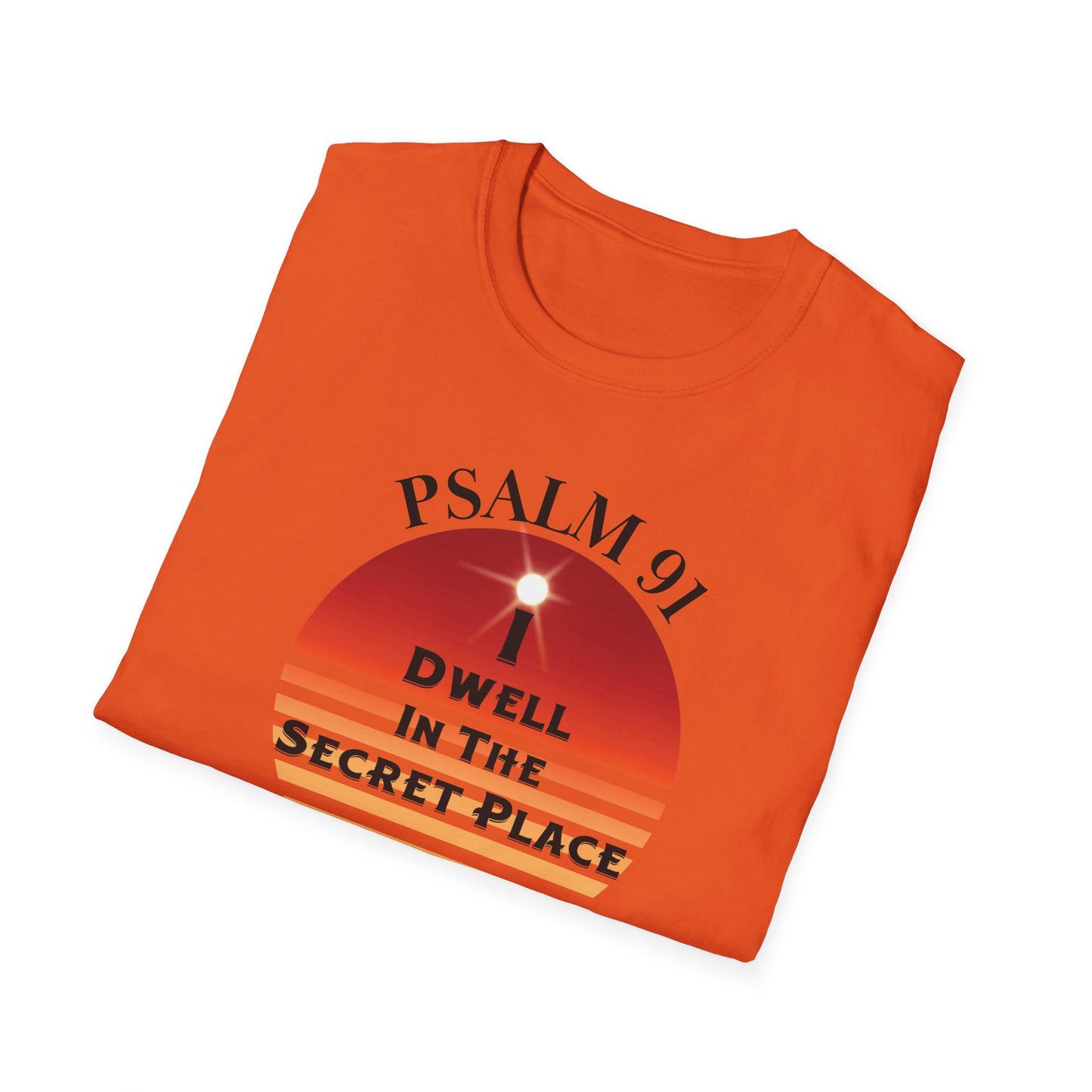 I Dwell in The Secret Place Adult Unisex T-Shirt