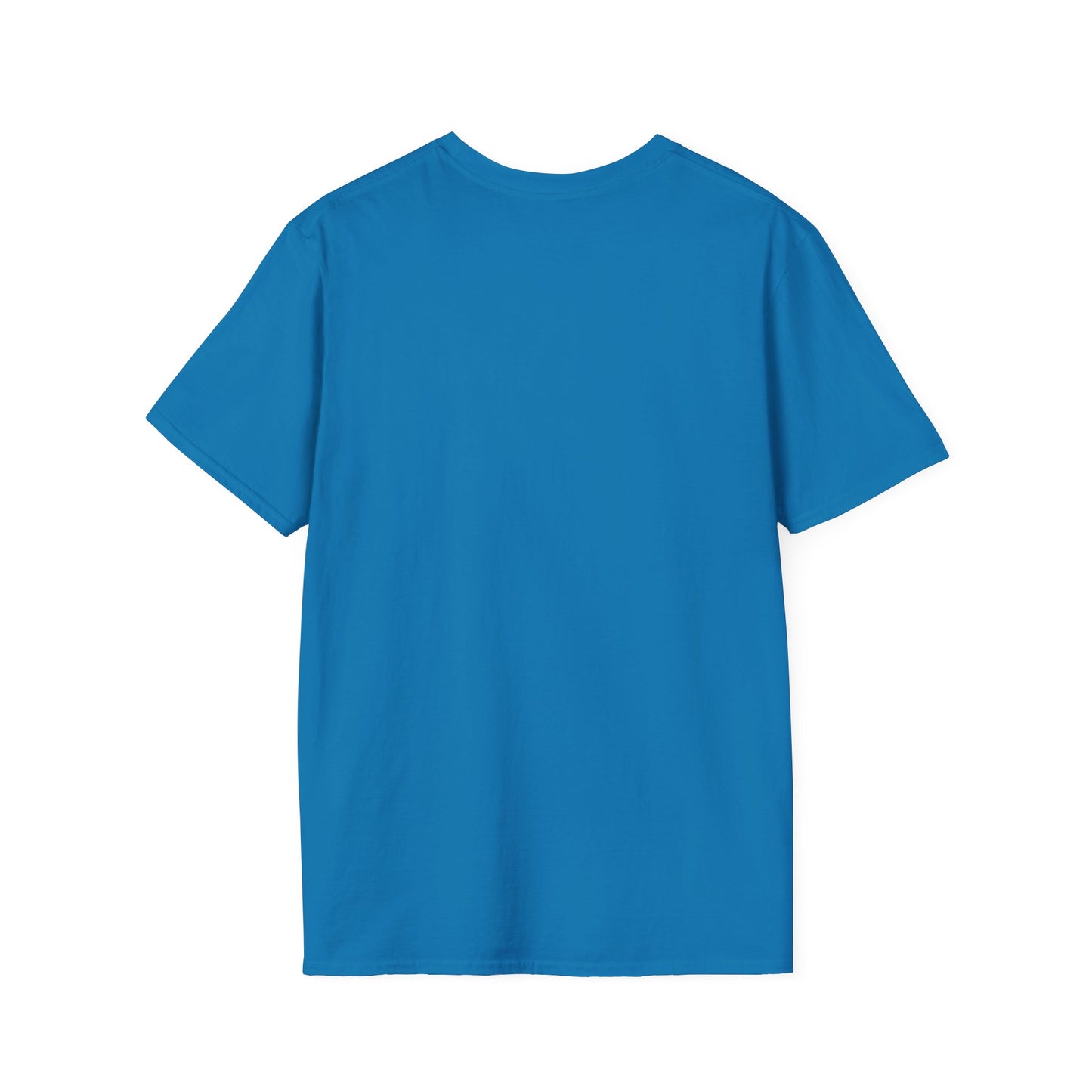 Proverbs 31 Women's T-Shirt