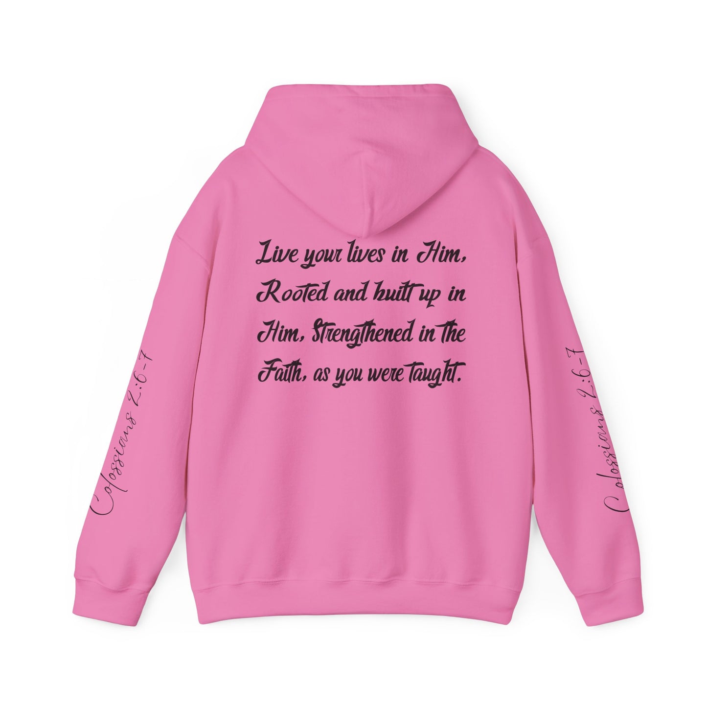 Rooted in Christ - Adult Unisex Hooded Sweatshirt