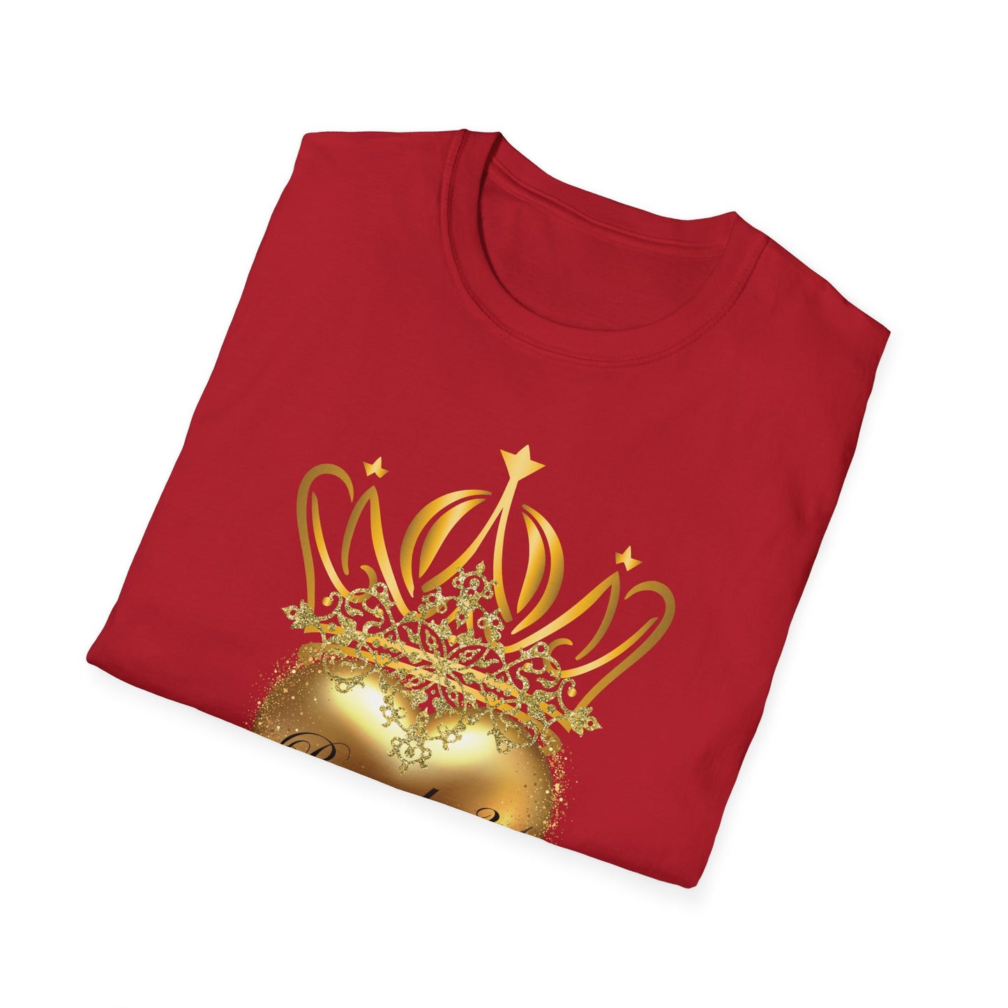 Proverbs 31 Women's T-Shirt