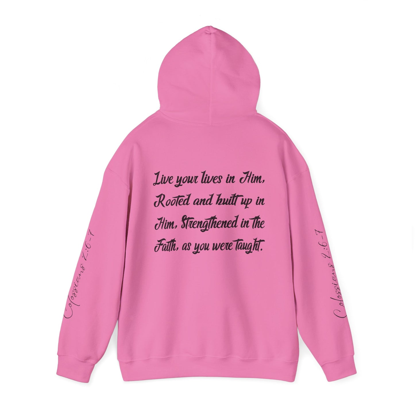 Rooted in Christ - Adult Unisex Hooded Sweatshirt