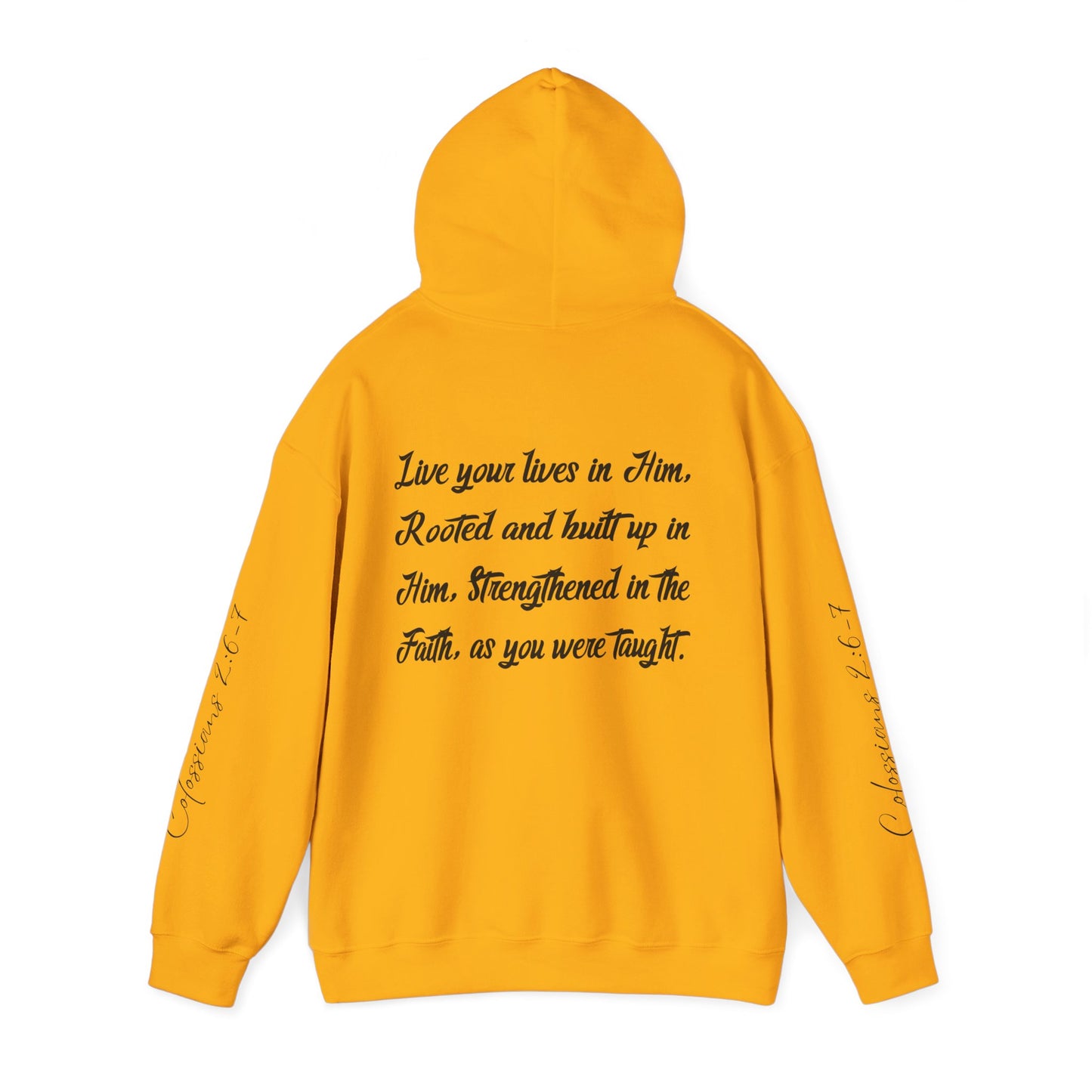 Rooted in Christ - Adult Unisex Hooded Sweatshirt