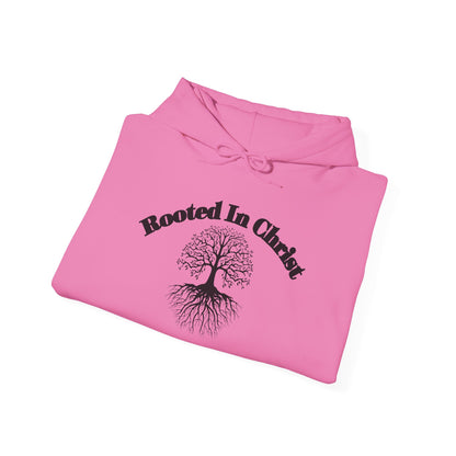 Rooted in Christ - Adult Unisex Hooded Sweatshirt